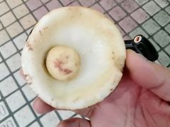 -達揚原味燉品(文明路店)