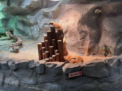 -Zoolung Zoolung动物主题公园(海信广场店)