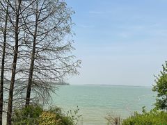 -杭州国际会议中心洲际酒店-菋道海鲜餐厅
