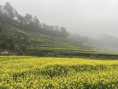 -杭州灵山景区