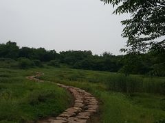 -盘龙城国家考古遗址公园