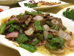 -丁老爷子苏香圆