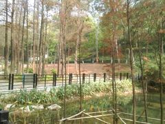 -畔山酒店中餐厅