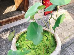 -糖房咖啡(南锣鼓巷店)