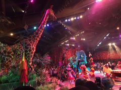 -奥兰多迪士尼动物王国乐园