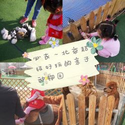 -萌宠亲子动物乐园(槐房万达店)