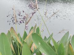 -东钱湖旅游度假区