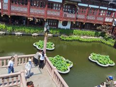 -豫园湖心亭茶楼