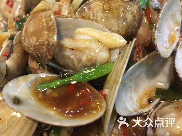 珍宝海鲜花甲图片 - 第440张