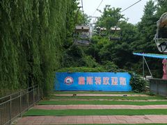 -富斯特索道