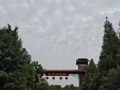 -泗洪洪泽湖湿地景区