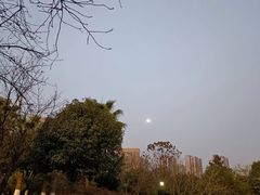 -龙头寺公园