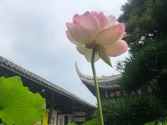 -宝光寺