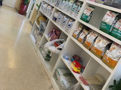 -芭比堂动物医院·24小时·眼科中心(深圳中心)