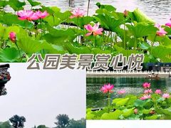 -什刹海
