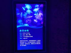 -波塞冬海底世界