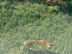 -泉州海丝野生动物世界