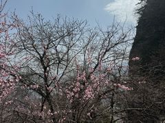 -崆峒山景区