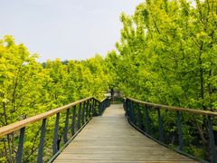 -东郊湿地公园