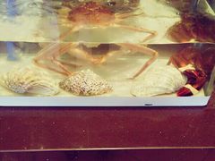 -火舞泰·泰式海鲜火锅餐厅(世纪城店)