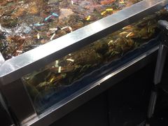 水产区-盒马鲜生(189购物中心店)
