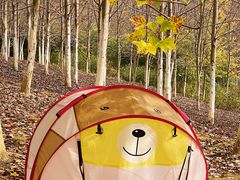 -仙海旅游度假区