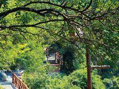 -韶关经律论国际酒店温泉