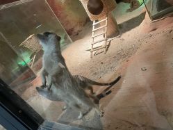 -酷嗒动物文化乐园(cutezoo西溪乐天城店)