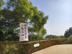 -飞凤山奥体公园