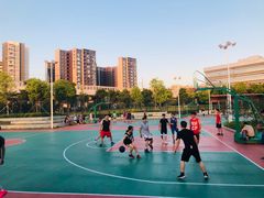 -宝安西湾红树林湿地公园