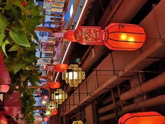 -谭鸭血老火锅(万象九宜城店)