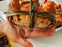 -野生蟹鲜楼(渔家灯火店)