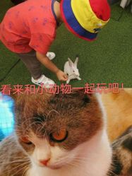 -萌宠亲子动物乐园(槐房万达店)