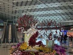 -香港国际机场