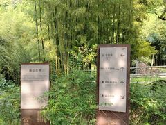 -黄公望隐居地