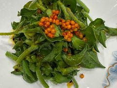 沙棘冰菜-凯鸽酒楼(大同振兴街店)