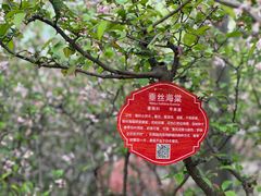 -黄兴公园