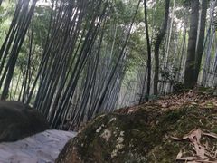 -黄山翡翠谷景区