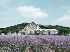 -雪浪山卡丁车俱乐部