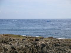 -龙坑生态保护区