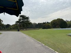 -上海滨江森林公园