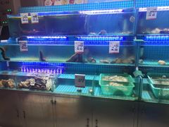 水产区-羊汤研究所(茶苑海口路店)