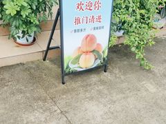 -老袁家蜜桃农场·阳山水蜜桃