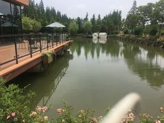 -上海长兴岛郊野公园