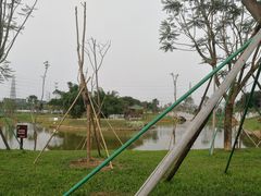 -王借岗森林公园