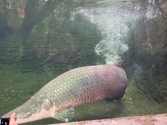-青青世界
