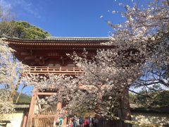 -醍醐寺