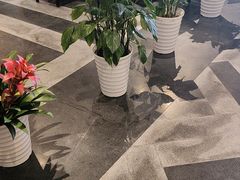 -大鸭梨烤鸭(金色漫香店)