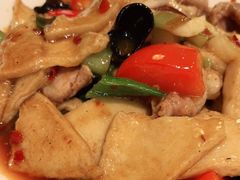 鲜肉千叶豆腐-传奇霸王兔