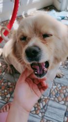 -重庆军科整形美容医院